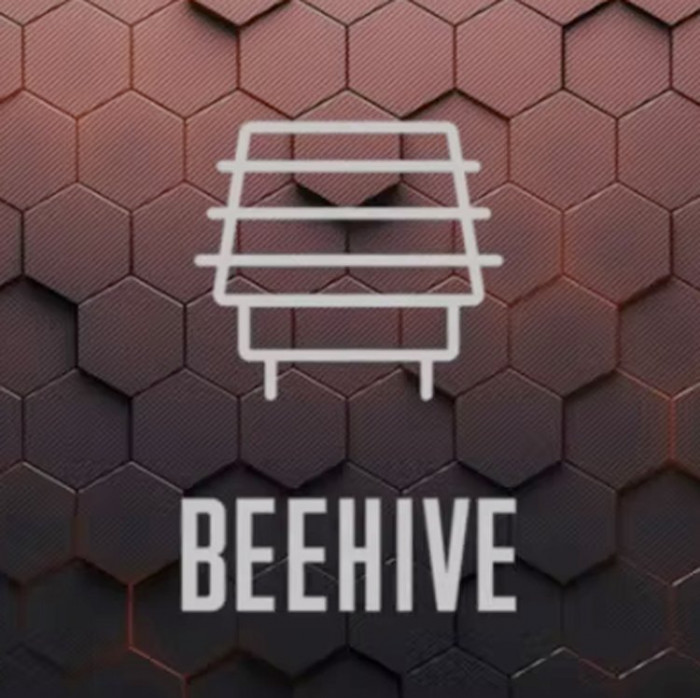 GlassBox Beehive